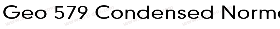 Geo 579 Condensed Normal字体转换